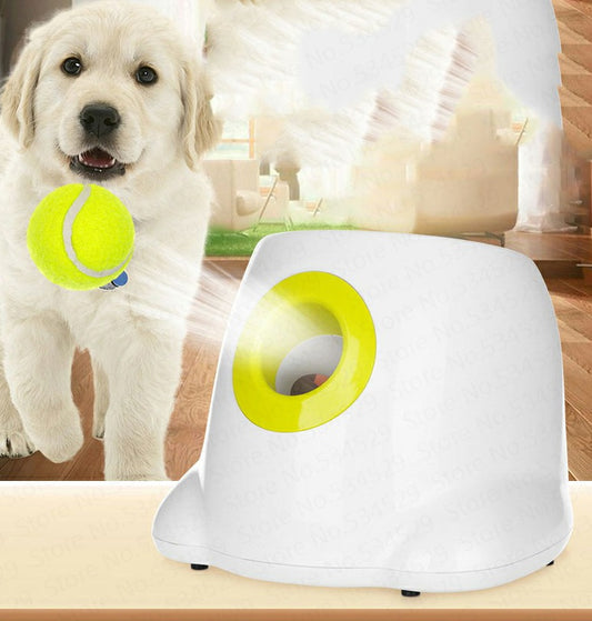 Woof & Launch – Automatic Interactive Ball Thrower for Dogs
