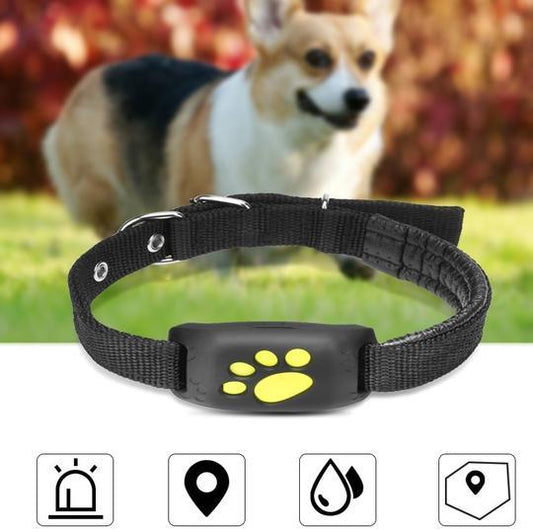 Find Fido Fast! Smart GPS Tracker for Your Pet’s Safety