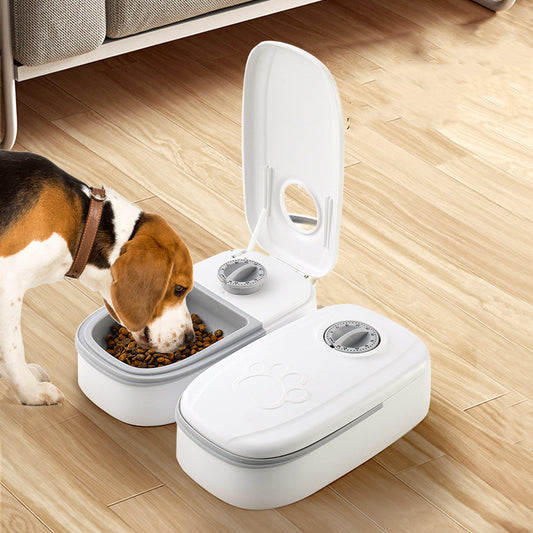 Smart 2-in-1 Automatic Pet Feeder with Timer – Stainless Steel Food Dispenser for Cats & Dogs