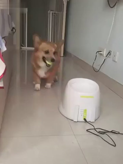 Woof & Launch – Automatic Interactive Ball Thrower for Dogs